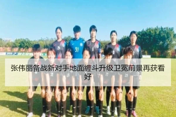 张伟丽备战新对手地面缠斗升级卫冕前景再获看好 | kaiyun
